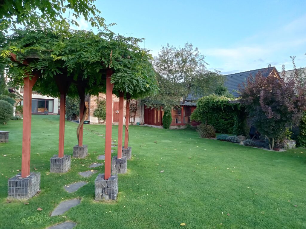 Kedy ste naposledy pozorovali kvapky dažďa na okne - pohľad do záhrady